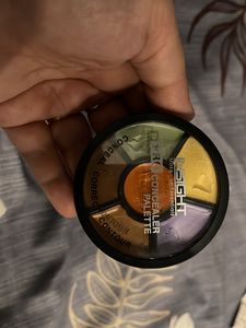 Insight Pro Concealer Pallate