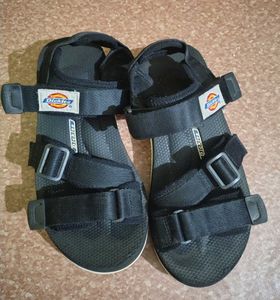 Dickies Sandal Men
