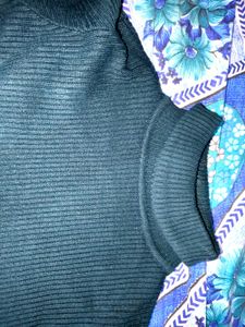 Turtle Neck Top