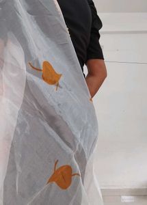 Elegant Organza Dupatta