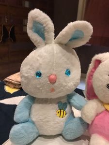 Bunny Plushie Set