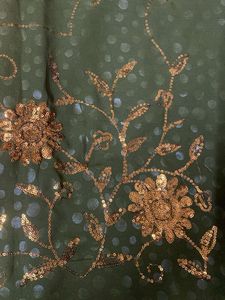 Green Embellished Saree