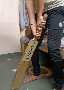 Gravity Orginal Kasmiri Willow bat