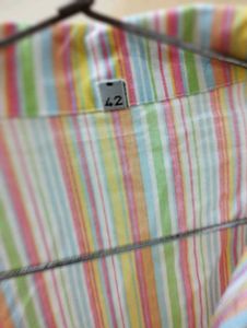 Striped Short Sleeve Button-Down