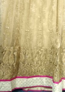 Elegant Ethnic Gown