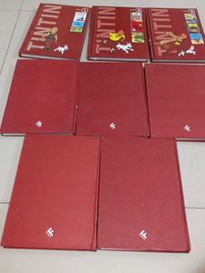 Tintin Comic Book Set