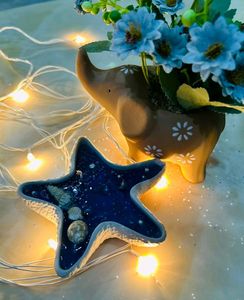 Starfish Today Sale🥳