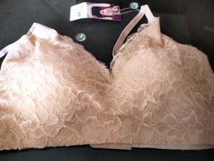 New Padded Lace Bralette