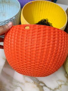 Colorful Plastic Plant Pots (Set of 6)
