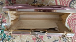 Beautiful Clutch With Side Chain