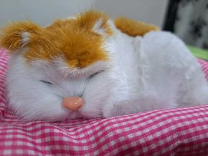Realistic Sleeping Cat Plush Toy