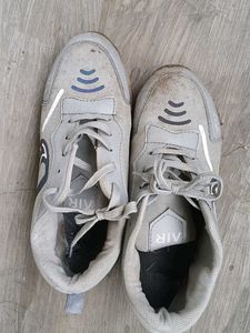 Grey Sneakers