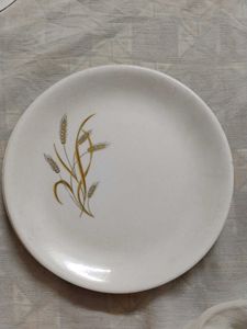 Melamine Plates 9inches Set Of 6