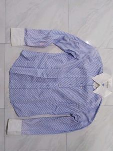 Striped Blue Shirt