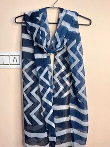 Blue &amp; White Stripes Lehenga Choli