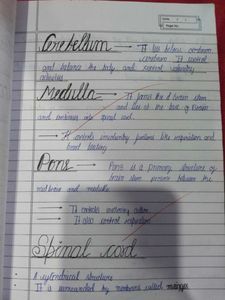 Biology Class 10th Notes