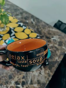 Elegant Ceramic Soup Mugs (Set Of 2)