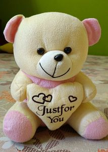 Teddy Bear 🐻
