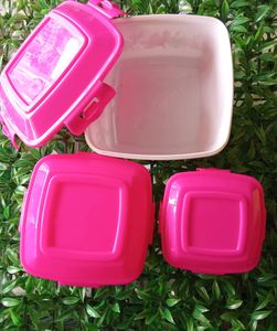 3 In One Combo Container/ Large , Medium, Small