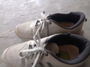 Adidas Sneakers