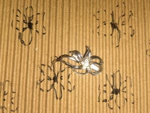 Beautiful Brooch Pin