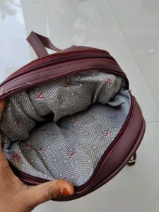 Stylish  Backpack