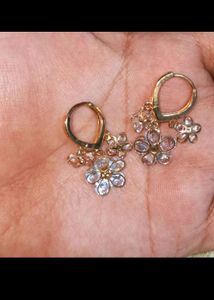 ₹250/- Earrings