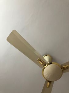 Ceiling Fan