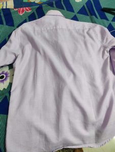 Elegant Purple Shirt