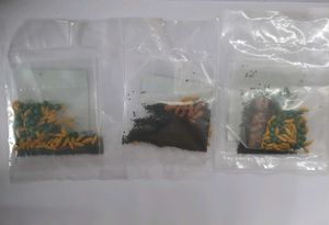 Vegetable Seeds