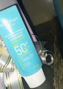 DONKEY CARE Blueberry Sunscreen