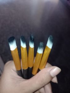 Kabuki Brush Set