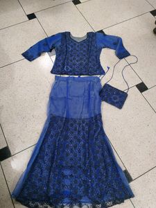 Lehnga Choli (Not Included Bag)