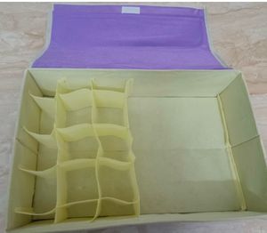 Lingerie Storage Organizer