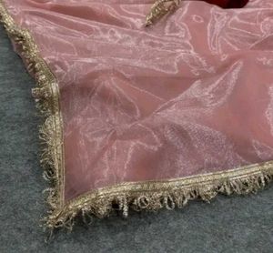 Elegant peach Saree with Velvet Blouse