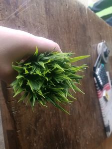 Cute ♥️😜 Artificial Pots Of 3 Pieces