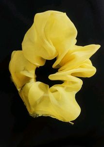 Colorful Organza Scrunchies
