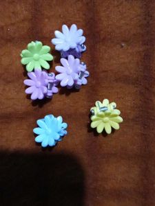 Flower Hair Clips - Set of 6