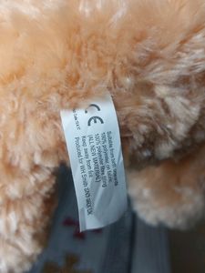 Teddy Bear