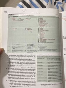 Inderbir Singh’s Embryology