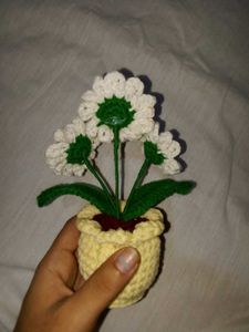 Daisy Crochet Flower Pot