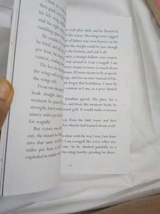 Jonathan Livingston Seagull