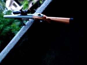 Gun pen