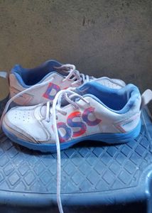 Cricket Whites And Shoes .