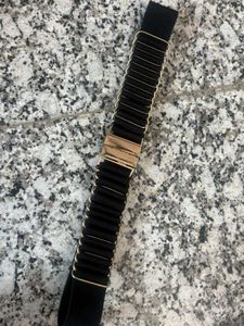 New Fancy Belt
