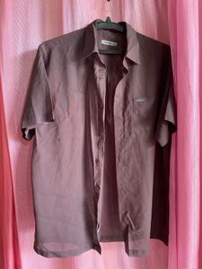 Brown Short Sleeve Button-Down