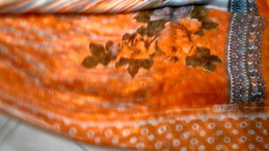 Orange 🧡 Colour Saree