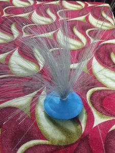 Fiber Optic showpiece