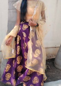 Elegant Lehenga &amp; blouse with frill