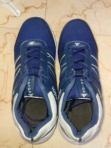 Adidas Shoes